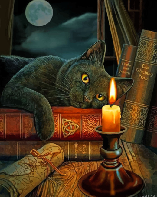 Black Cat Staring At A Candle Painting By Numberss.png