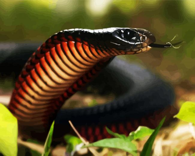 Black Cobra Painting By Numberss.png