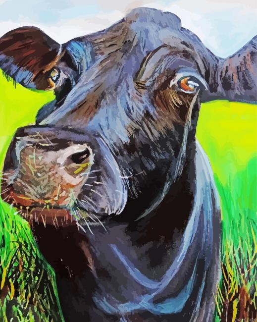 Black Cow Painting By Numberss.png