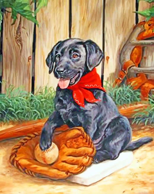 Black Dog Animals Painting By Numberss.png