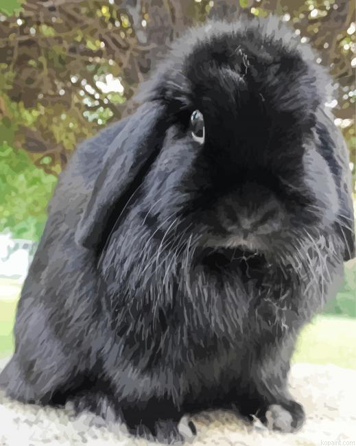 Black Floppy Bunny Painting By Numberss.png