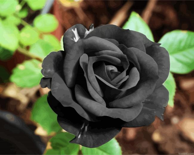 Black Flower Plant Painting By Numberss.png