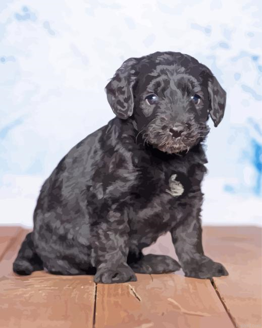 Black Goldendoodle Puppy Painting By Numberss.png