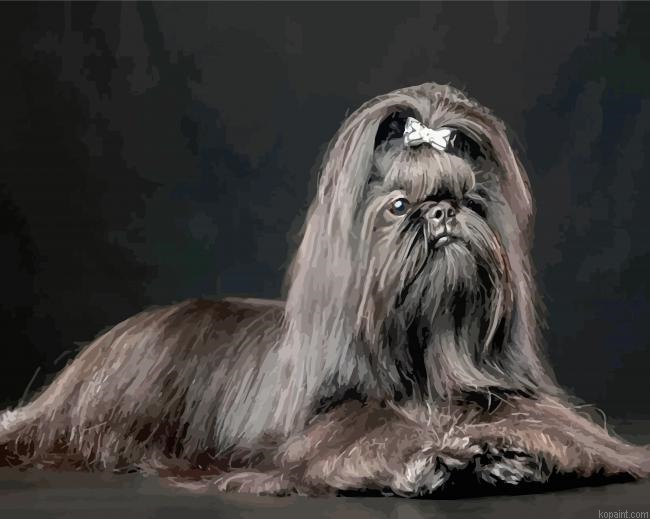 Black Lhasa Apso Dog Painting By Numberss.png