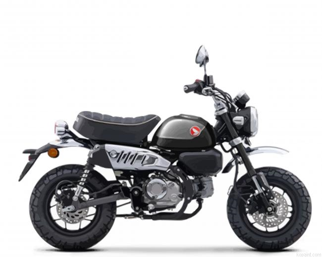 Black Monkey Bike Painting By Numberss.png