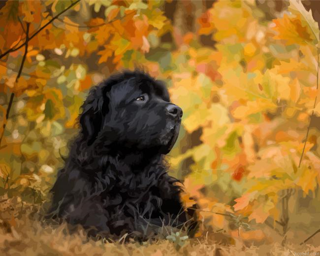 Black Newfoundland Dog Painting By Numberss.png