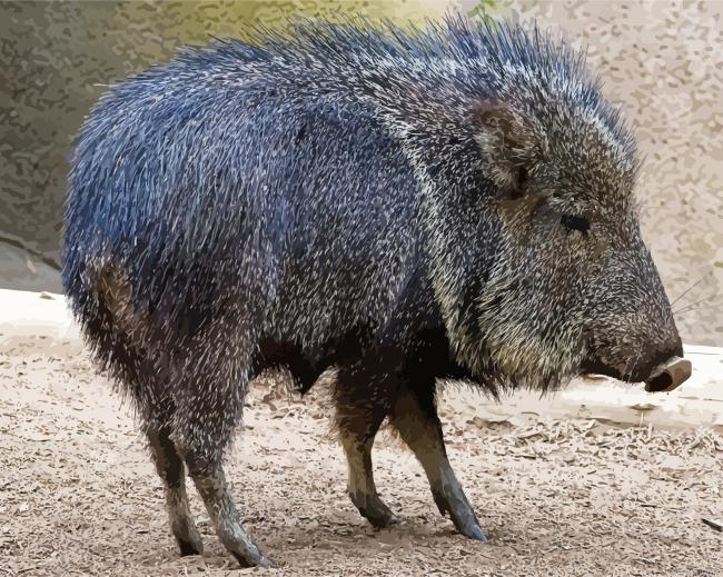 Black Peccary Painting By Numberss.png