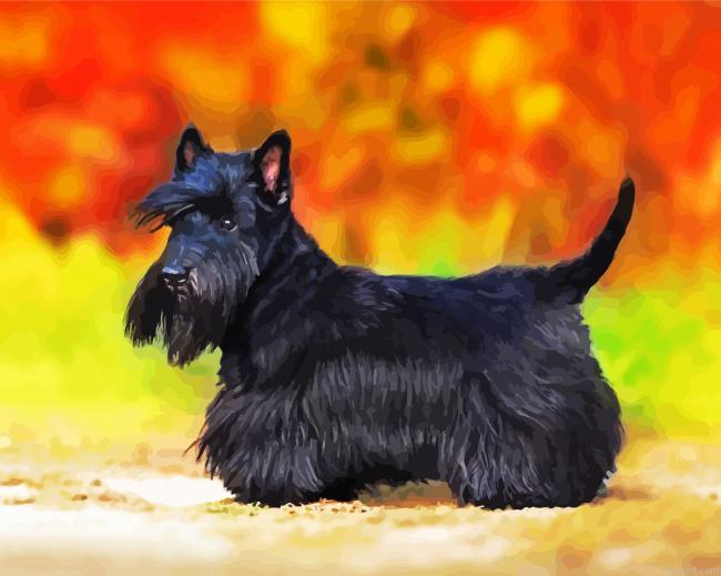 Black Scottish Terrier Puppy Painting By Numberss.png