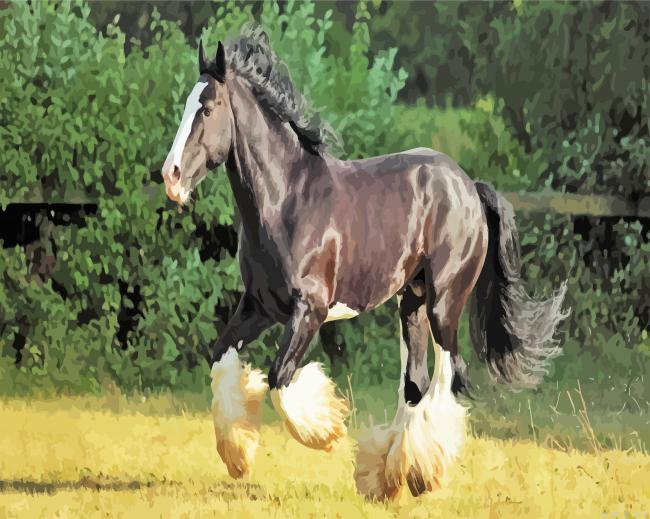 Black Shire Horse Paint by Numbers
