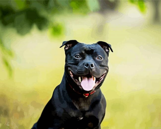Black Staffordshire Bull Terrier Paint By Numbers.png