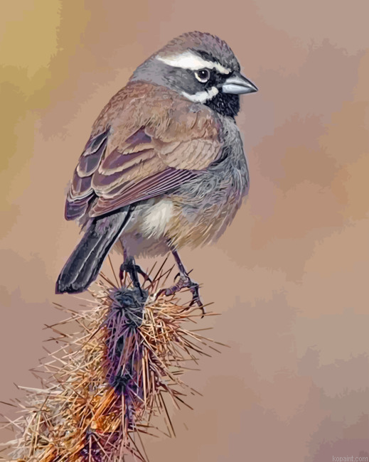 Black Throated Sparrow Painting By Numberss.png