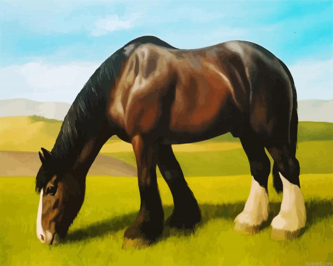 Black White Shire Horse Paint By Numbers.png