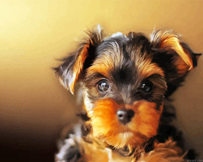 Black Yorkshire Terrier Dog Painting By Numberss.png