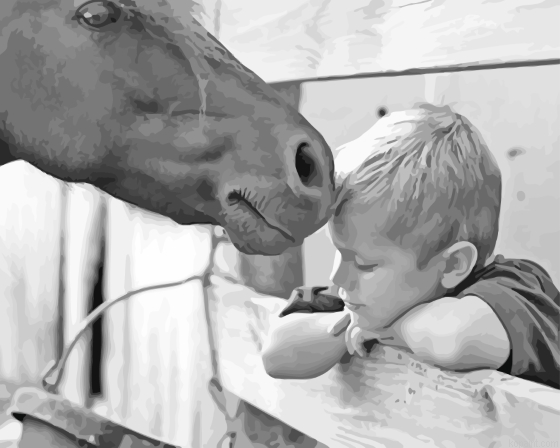 Black And White Horse And Boy Painting By Numberss.png