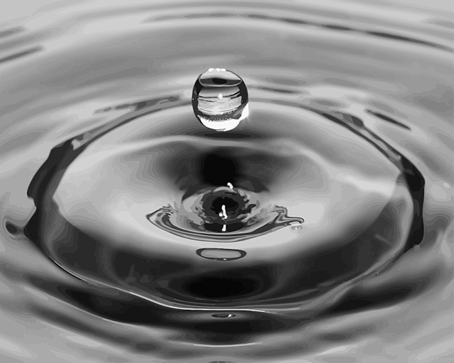 Black And White Water Drop New Painting By Numberss.png