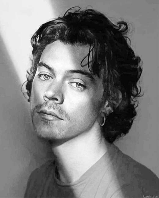 Black White Harry Edward Styles New Painting By Numberss.png