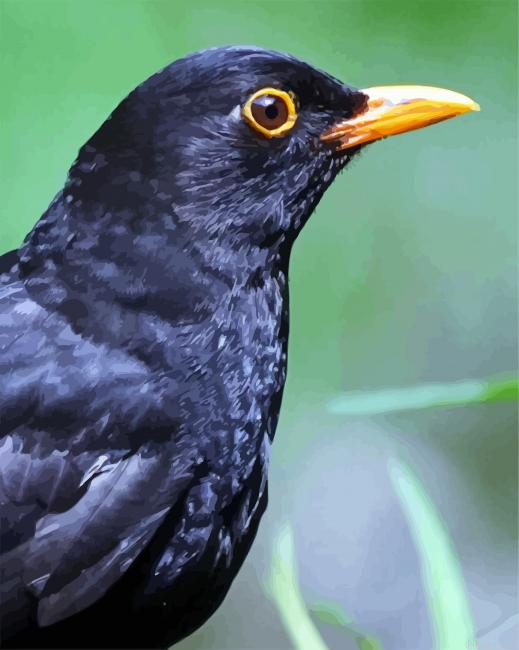 Blackbird Head Painting By Numberss.png