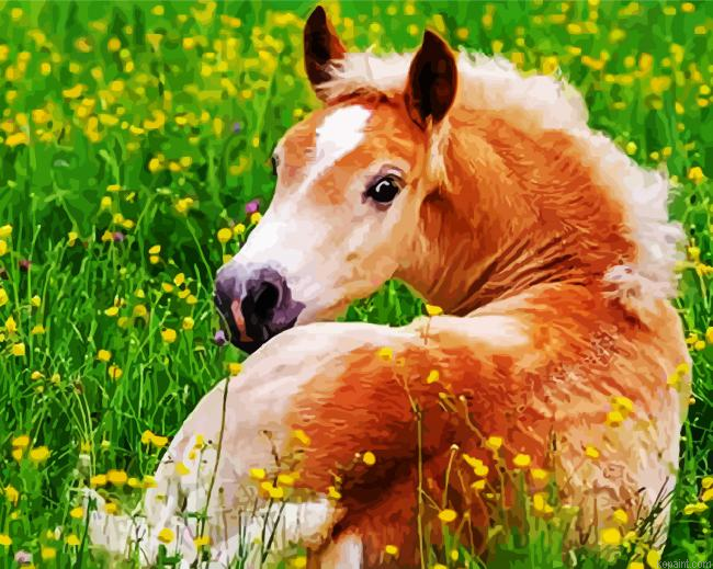 Blonde Pony Painting By Numberss.png