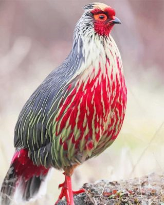 Blood Pheasant Painting By Numberss.png