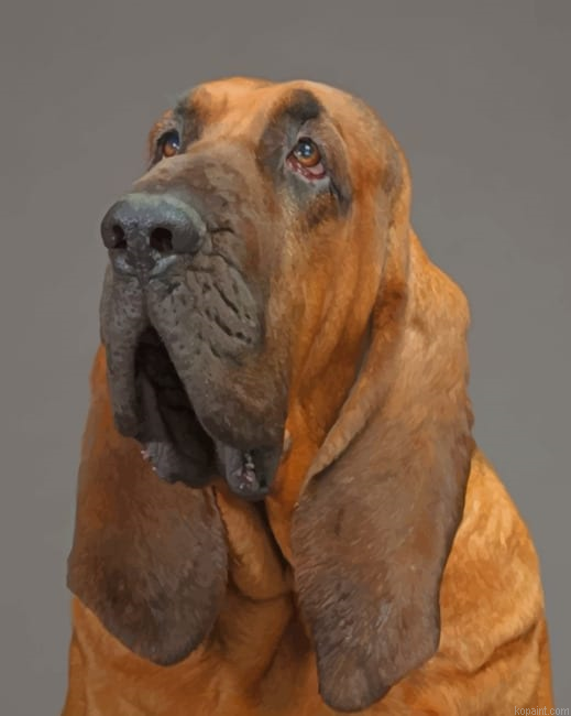 Bloodhound Painting By Numberss.png