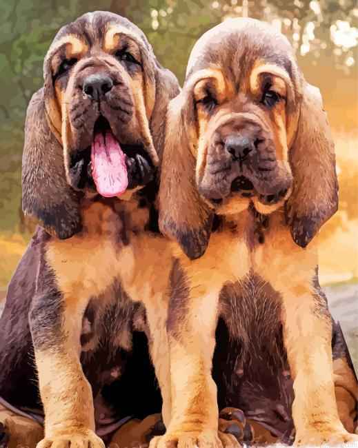 Bloodhound Puppies Painting By Numberss.png