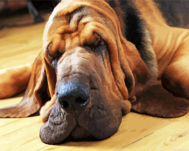 Bloodhound Sleeping Painting By Numberss.png