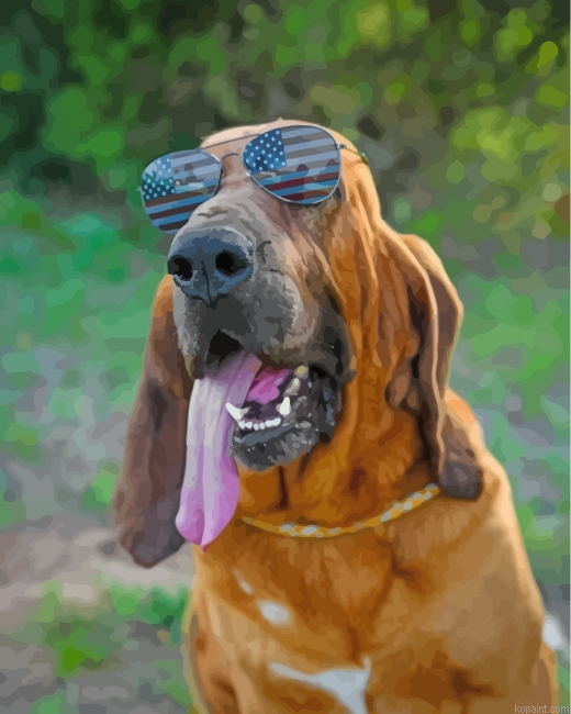 Bloodhound With Sunglasses Painting By Numberss.png