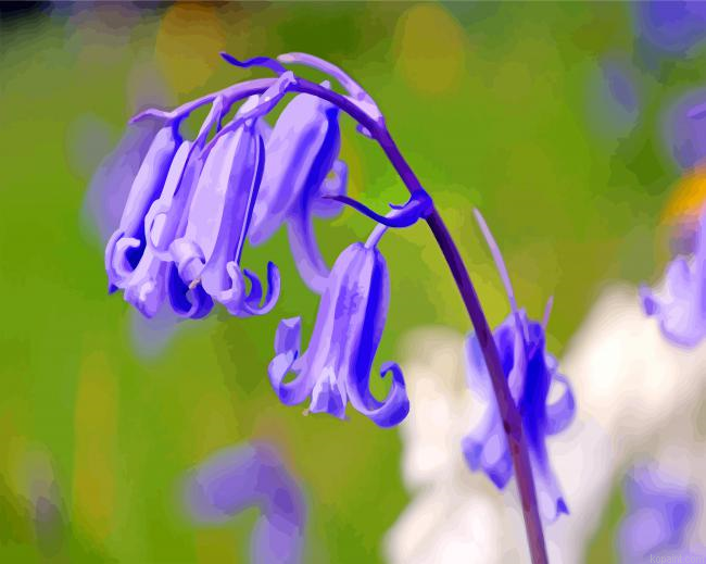 Blooming Bluebells Flower Painting By Numberss.png
