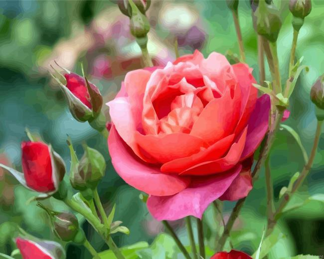 Blooming Floribunda Flower Painting By Numberss.png