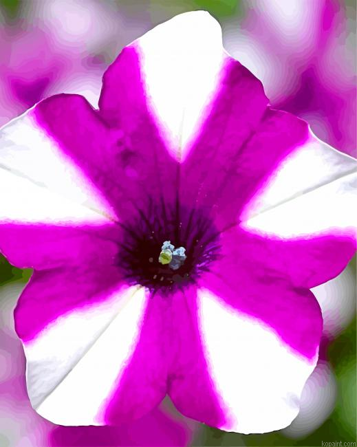 Blooming Petunia Painting By Numberss.png
