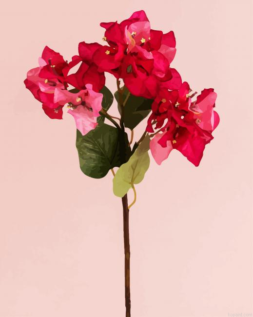 Blooming Pink Bougainvillea Paint by Numbers