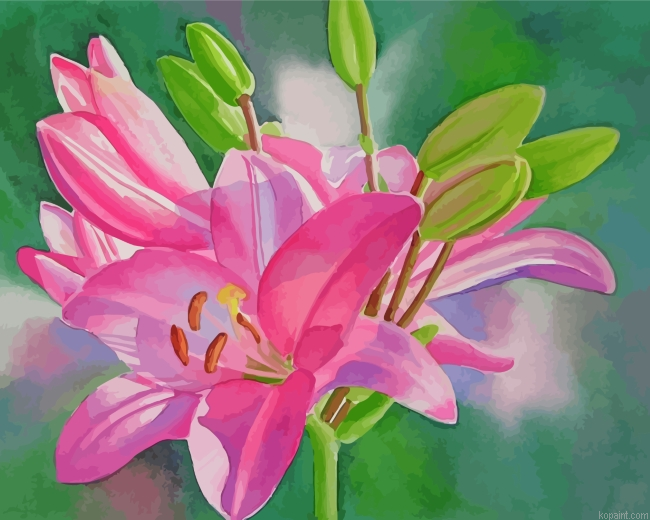 Blooming Pink Lilies Painting By Numberss.png