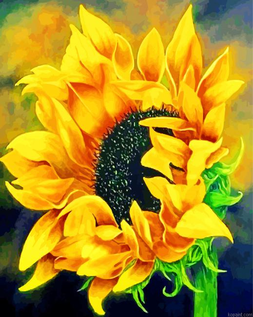 Blooming Sunflower Painting By Numberss.png