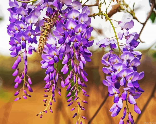 Blooming Wisteria Painting By Numberss.png