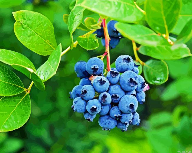 Bluberry Fruit Tree Painting By Numberss.png