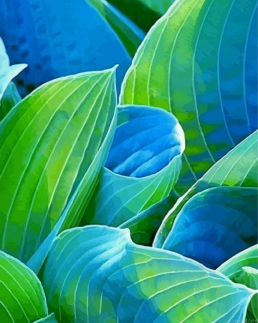 Blue And Green Hosta Art Painting By Numberss.png
