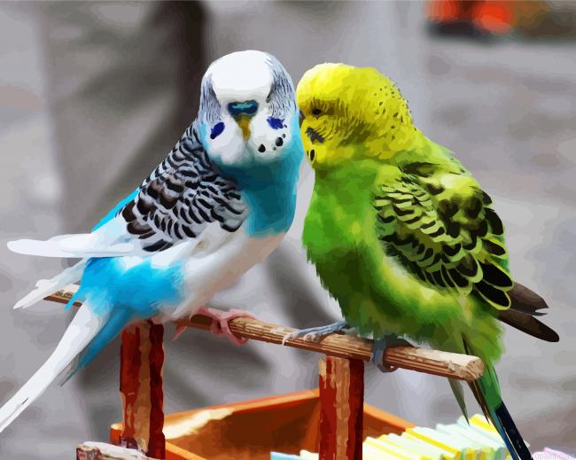 Blue And Green Parakeet Budgerigars Paint By Numbers.png