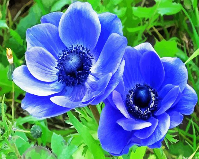 Blue Anemones Flowers Paint By Numbers.png