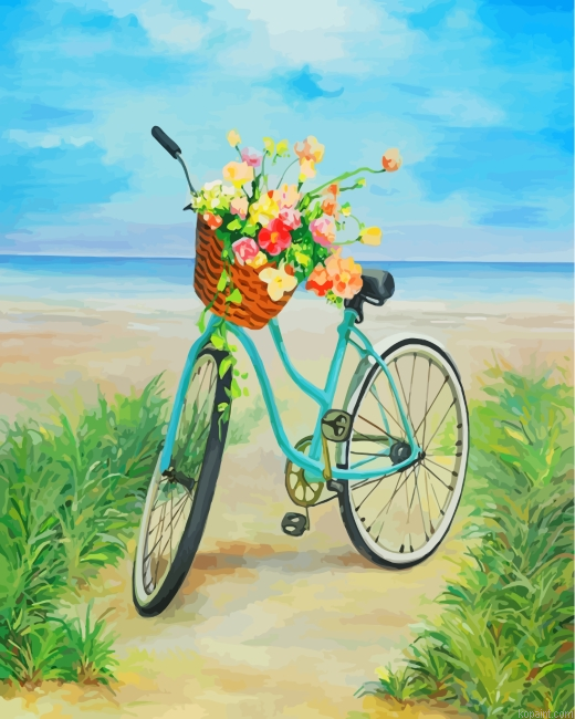 Blue Bike And Flowers Painting By Numberss.png