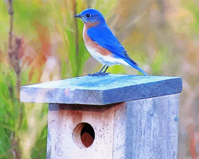Blue Bird On A Fence Painting By Numberss.png