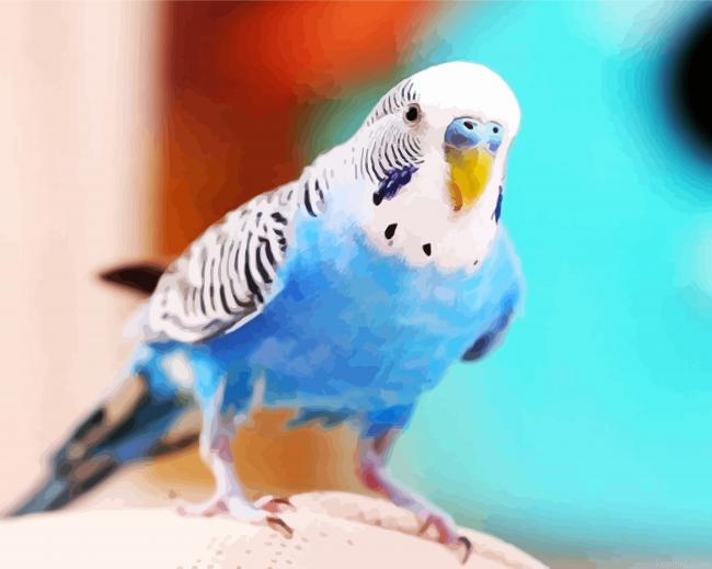 Blue Budgerigars Bird Paint By Numbers.png