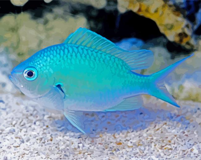 Blue Fish Paint By Numbers