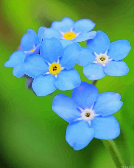 Blue Forget Me Not Flowers Painting By Numberss.png