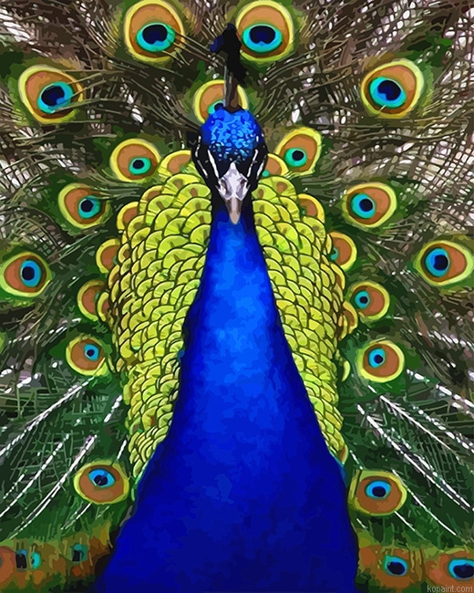 Blue Golden Peacock Bird New Painting By Numberss.png