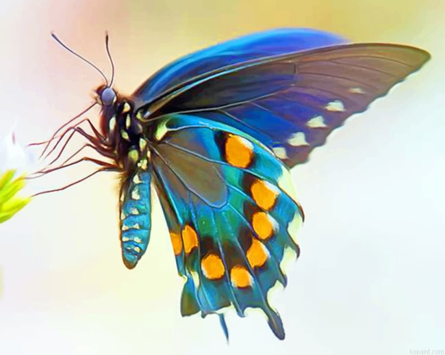 Blue Green Butterfly Wing New Painting By Numberss.png