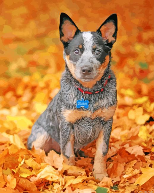 Blue Heeler Pet Painting By Numberss.png