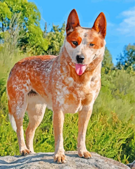 Blue Heeler Puppy Painting By Numberss.png