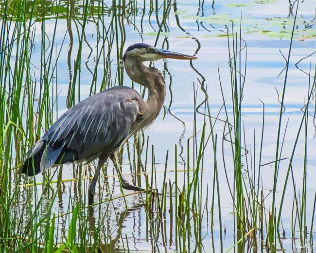 Blue Heron In A Swamp Painting By Numberss.png