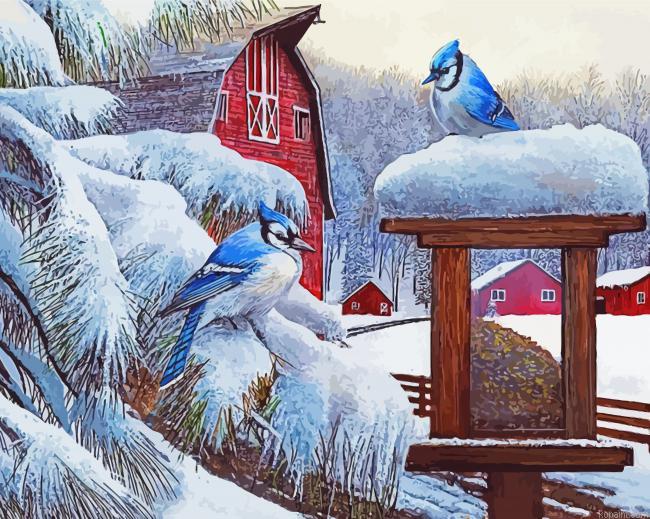 Blue Jay Birds In Winter Painting By Numberss.png