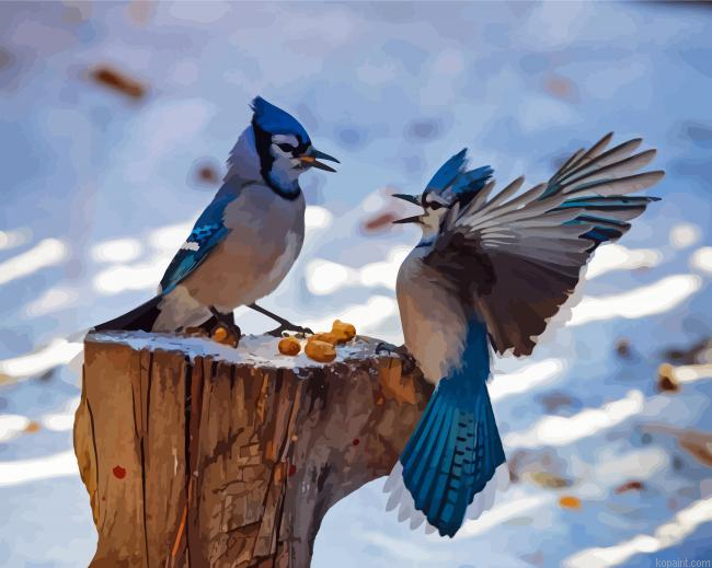 Blue Jays Birds Painting By Numberss.png